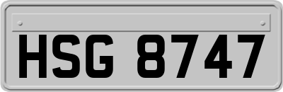 HSG8747