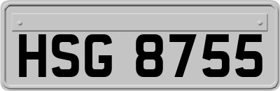 HSG8755