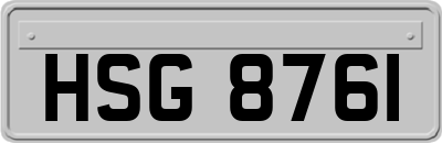 HSG8761