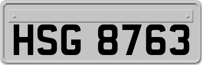 HSG8763