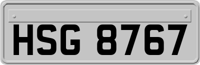 HSG8767