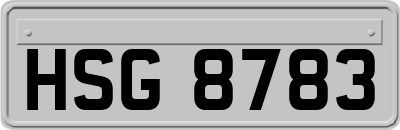 HSG8783