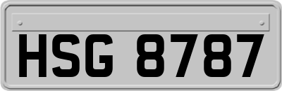 HSG8787