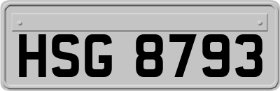 HSG8793