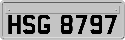HSG8797