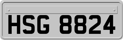 HSG8824