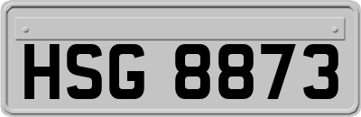 HSG8873