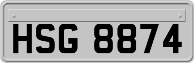 HSG8874