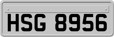HSG8956