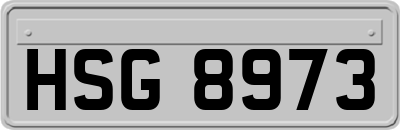 HSG8973