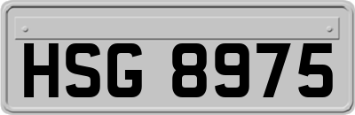 HSG8975