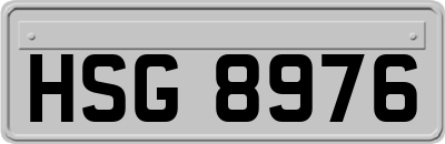 HSG8976