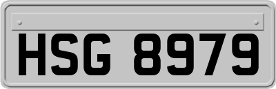 HSG8979