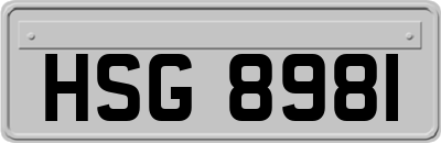 HSG8981