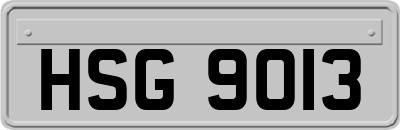 HSG9013