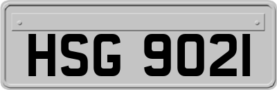HSG9021