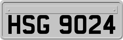 HSG9024