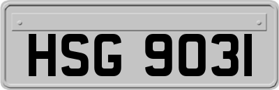 HSG9031