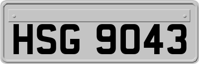 HSG9043