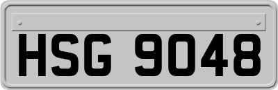HSG9048