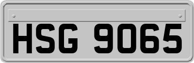 HSG9065