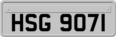 HSG9071