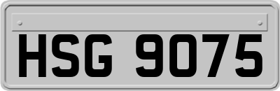 HSG9075