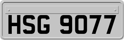 HSG9077