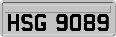 HSG9089