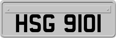 HSG9101