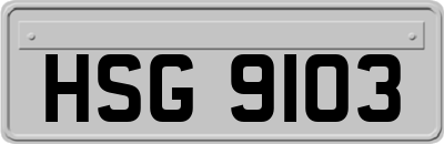 HSG9103