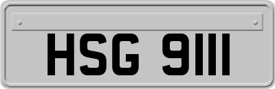 HSG9111
