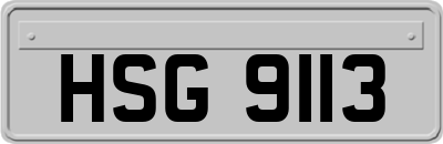 HSG9113