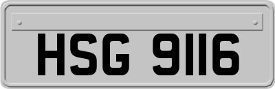 HSG9116
