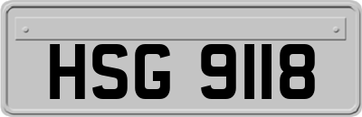 HSG9118