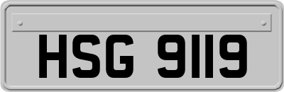 HSG9119