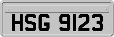 HSG9123
