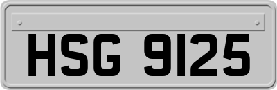 HSG9125