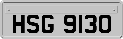 HSG9130