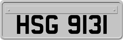 HSG9131