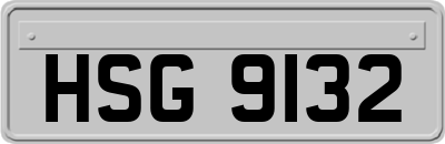 HSG9132