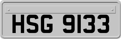 HSG9133