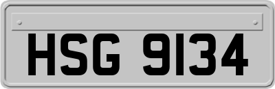 HSG9134