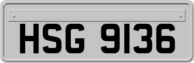 HSG9136