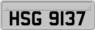 HSG9137