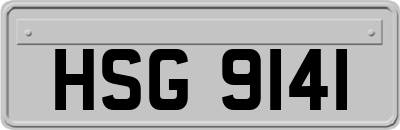 HSG9141