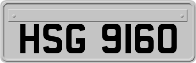 HSG9160