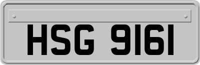 HSG9161