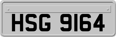 HSG9164