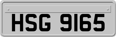 HSG9165
